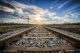 Rail forum makes case for on-shoring rolling stock content