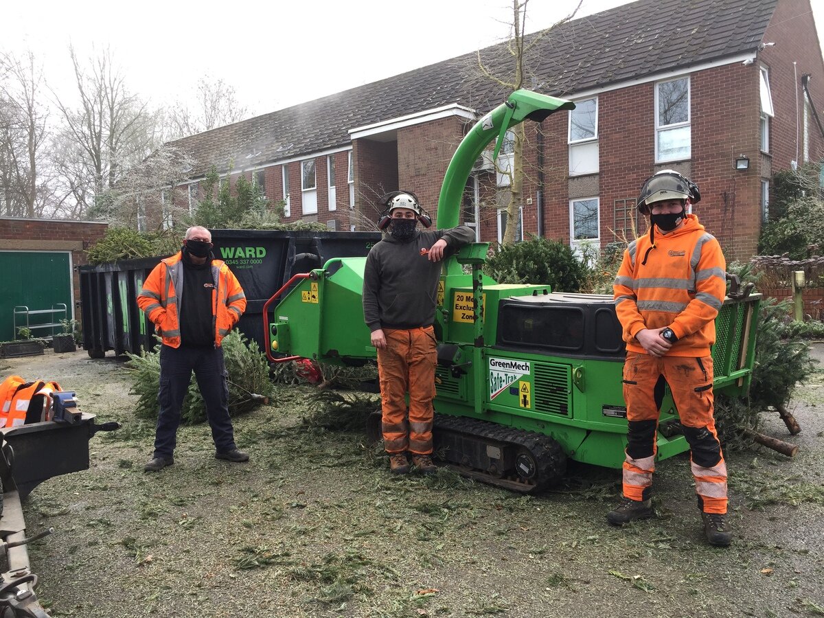 Xmas tree recycling scheme success