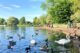 City parks named among the UK’s best
