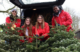 Charity Xmas tree recycling scheme seeks helps