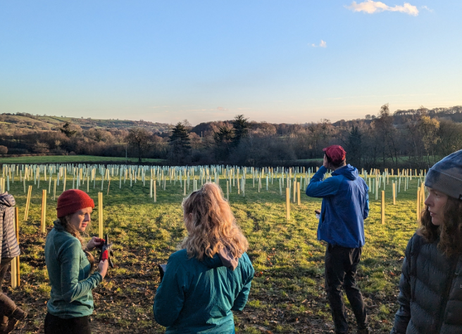 Teamwork sees trees planted at adventure centre