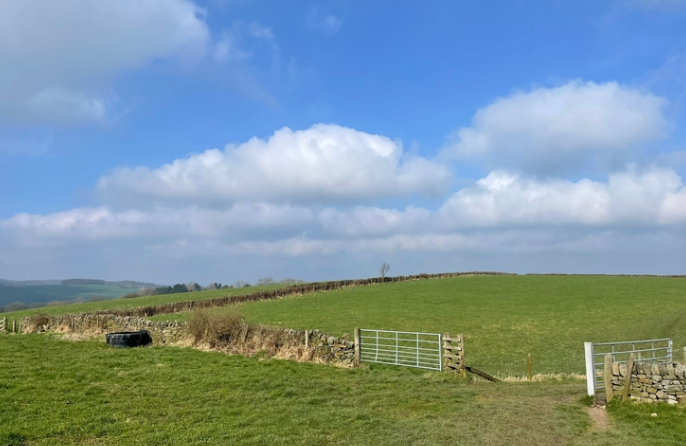 Trust’s project to restore peatland gets underway